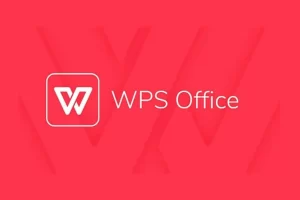 WPS PC版打不开文档或文件损坏怎么办？全方位解析与操作指南